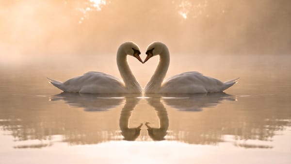 The Indescribable Love