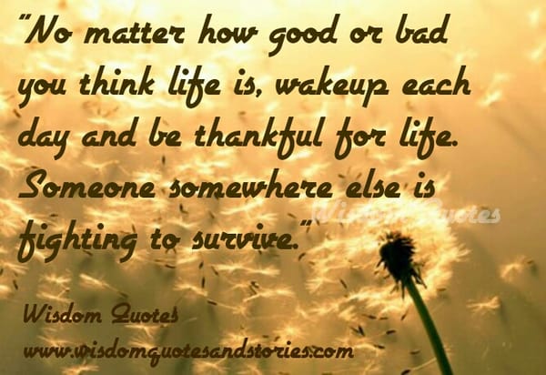 Wake up Each Day and be Thankful for Life