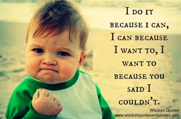 I do it because i can, I can because I want to, I want to because you said I couldn't