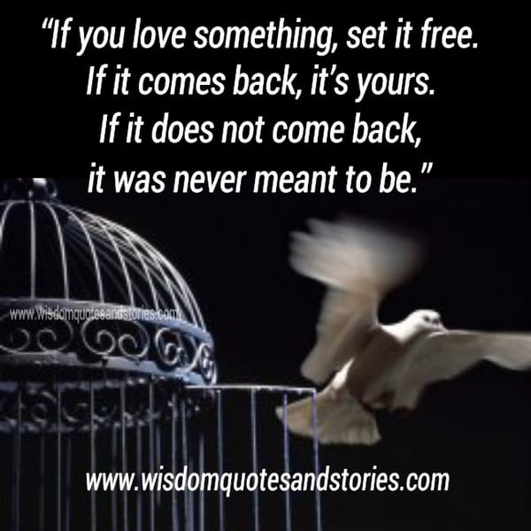If you Love something Set it Free