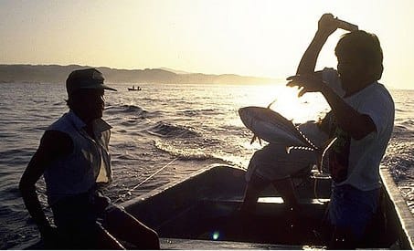 The American Tourist and Mexican Fisherman - Life Lesson