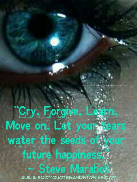 Cry, Forgive, Learn & Move on