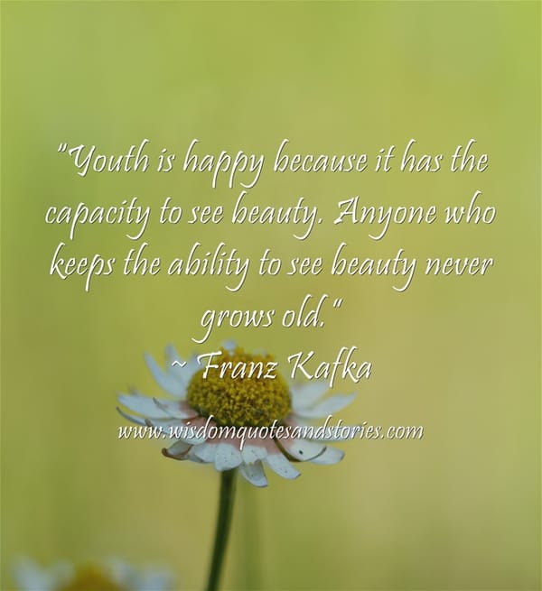 Anybody who keeps the ability to see beauty never grows old - Franz Kafka