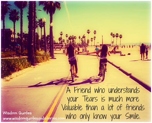 A friend understanding your tears is much more valuable than one who only knows your smile