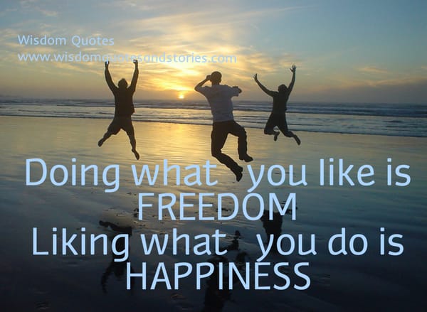 Doing what you like is freedom but liking what you do is happiness
