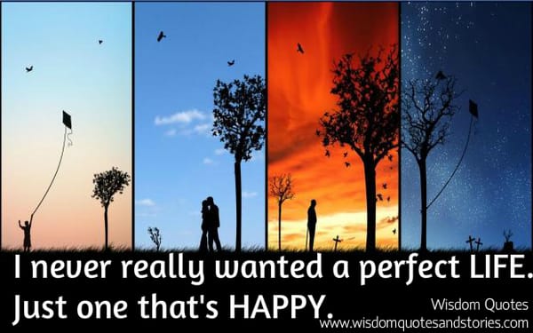 I never really wanted a perfect life , just one that is happy