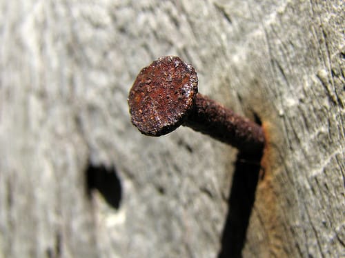 Nails in the Fence