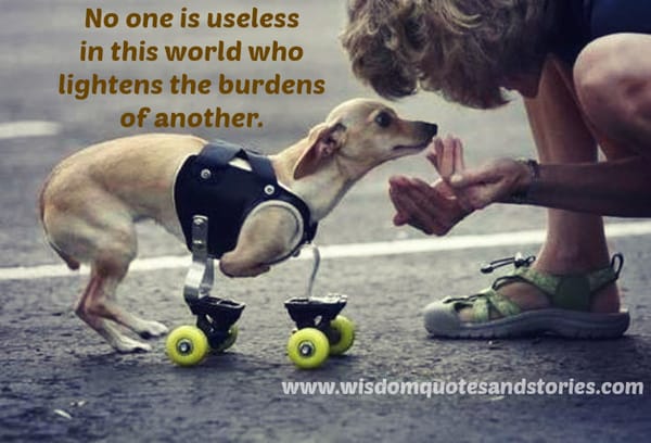 No one is useless in this world who lightens the burdens of another