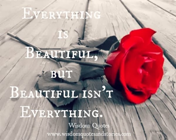 Everything is beautiful but beautiful isn't everything