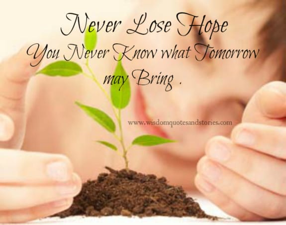Never lose Hope