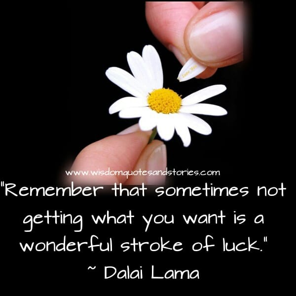 Sometimes not getting what you want is a wonderful stroke of luck