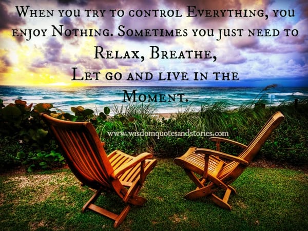 You enjoy nothing by controlling everything , just relax and live in the moment