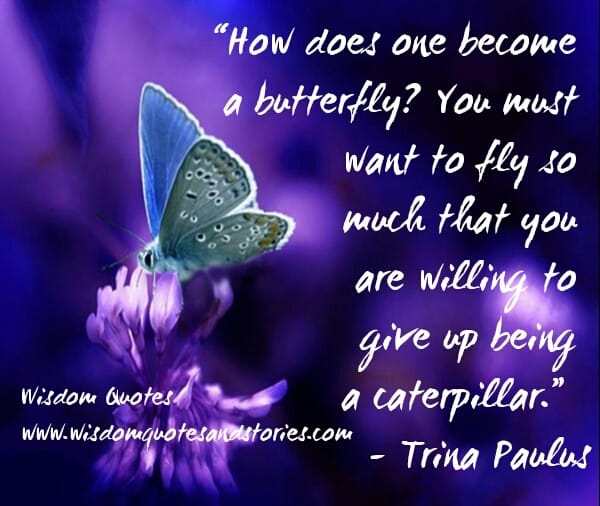 How does one become a butterfly ?