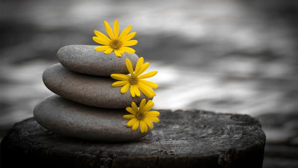 Four Kinds of Beauty