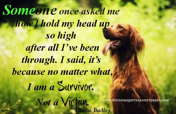 Someone once asked me how l hold my head up so high after all I’ve been through. I said, it’s because no matter what, I am a