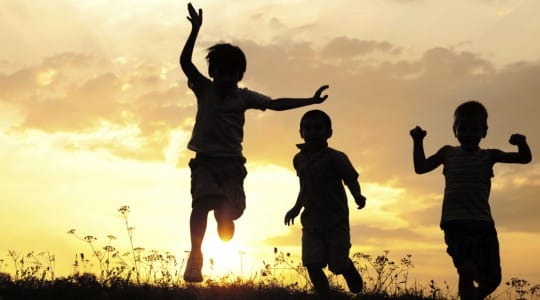 The Pursuit of Happiness in life