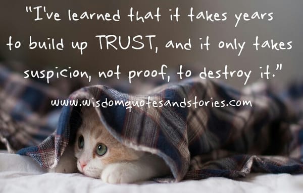 Trust takes years to build