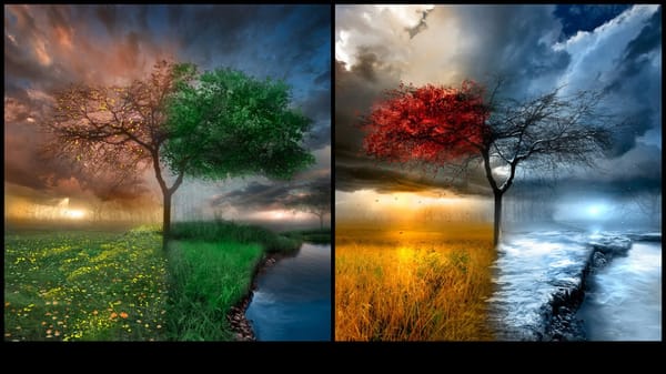 Reason, Season or lifetime