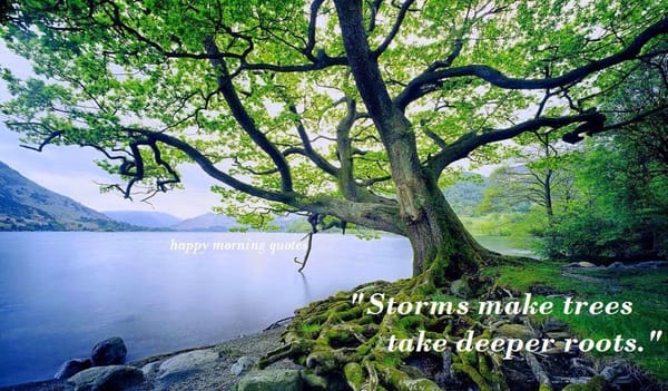 Strength