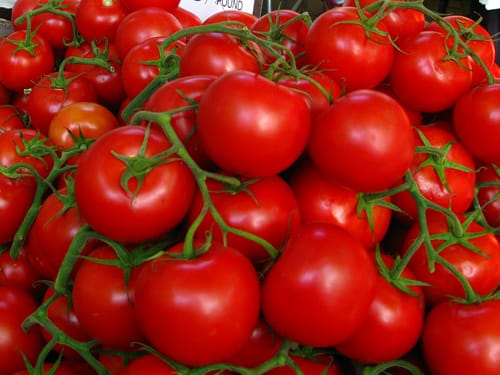 A Tomato Story