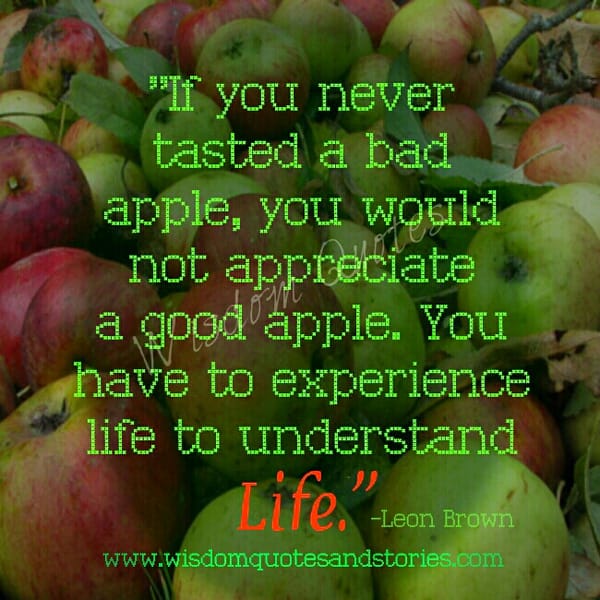Experience Life to understand Life