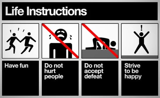Instructions For Life