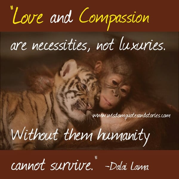 Love and compassion are necessities, not luxuries