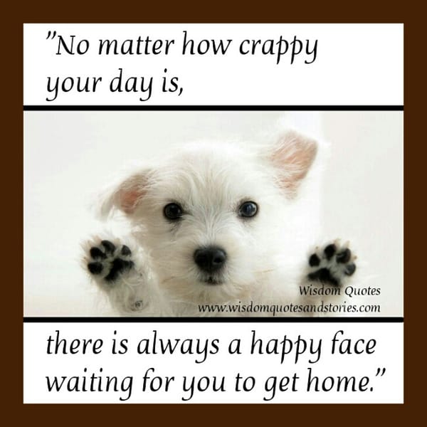There's always a happy face waiting for you to get home