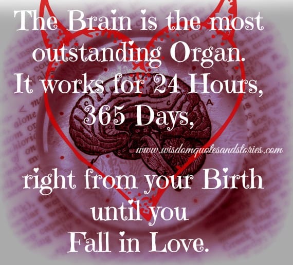 The most outstanding organ