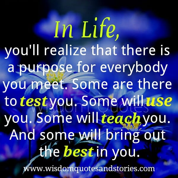 There's a purpose for everybody you meet in Life