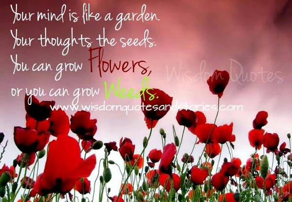 Your mind is a garden. Your thoughts are the seeds.