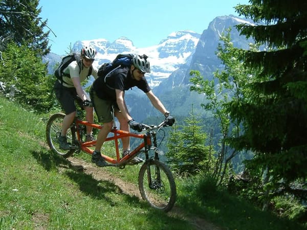 Pedal on The Road Of Life