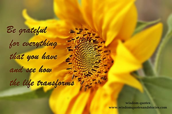 gratitude