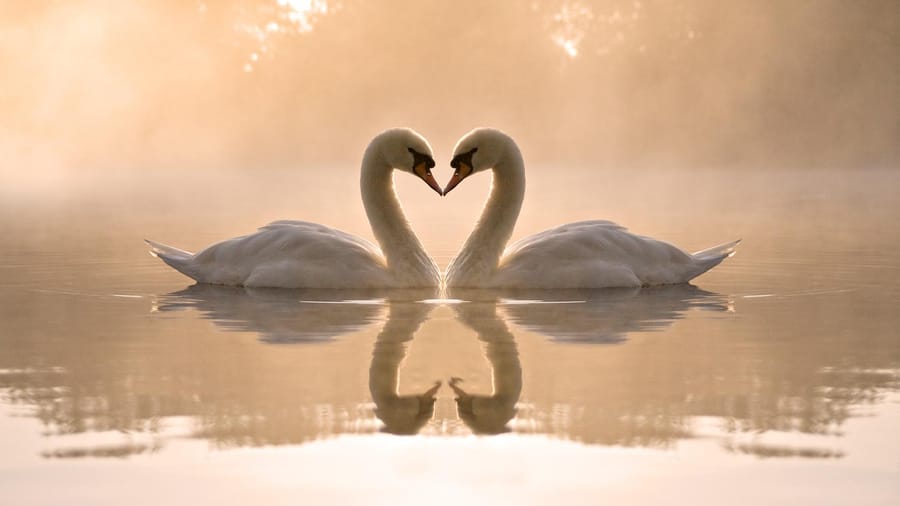 The Indescribable Love