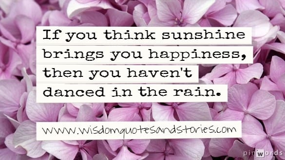 If you think sunshine brings you happiness , then you haven't danced in the sun
