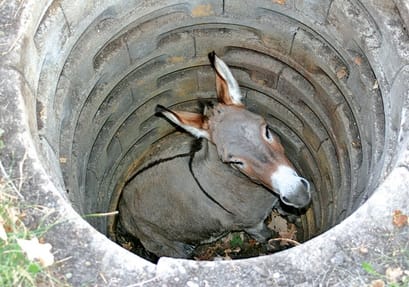 Donkey in the well - Life lesson