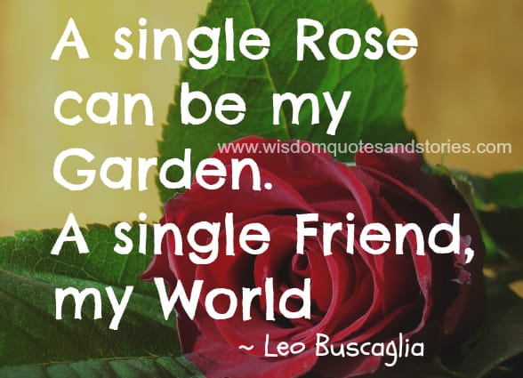 A single rose can be my garden