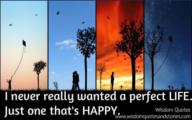 I never really wanted a perfect life , just one that is happy