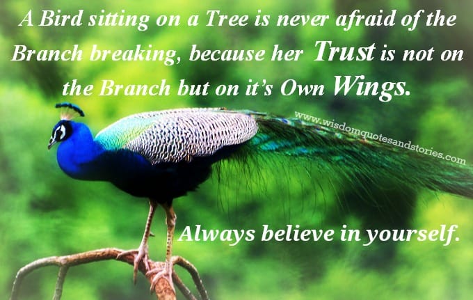 always believe in yourself like bird trusting her wings while sitting on branch of a tree