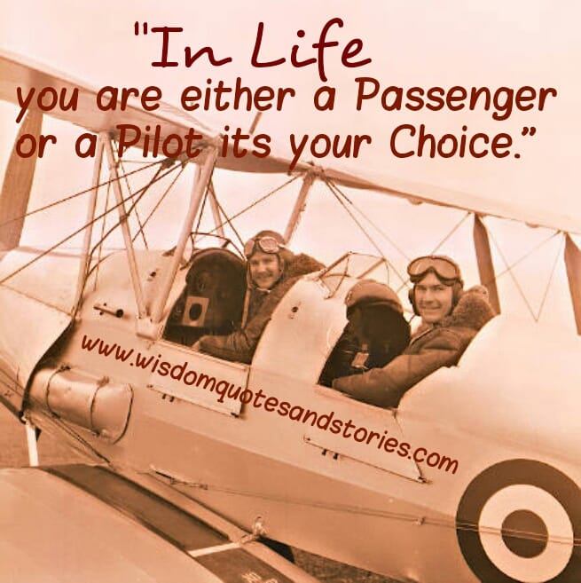 You are either Passenger or a Pilot