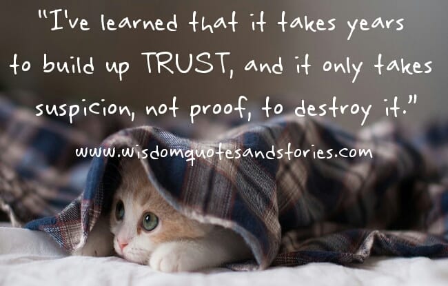 Trust takes years to build