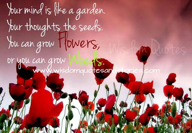 Your mind is a garden. Your thoughts are the seeds.