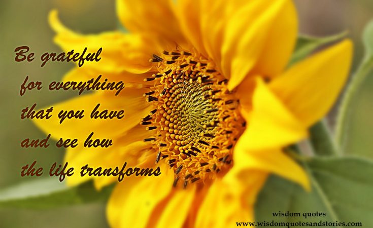 gratitude